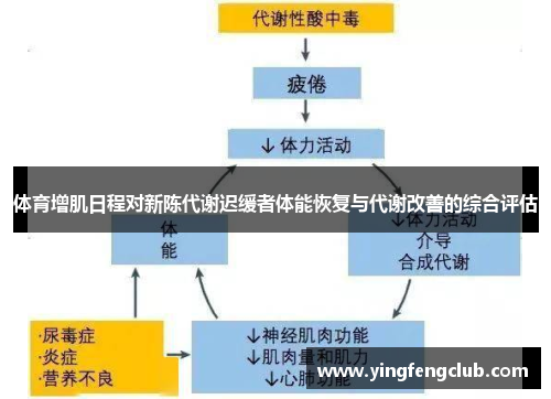 体育增肌日程对新陈代谢迟缓者体能恢复与代谢改善的综合评估